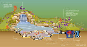 Owlpump shares with you The Principle and The Most Common Usage of assorted effective Filtering Methods for Fish tanks & Fish ponds -Part 1