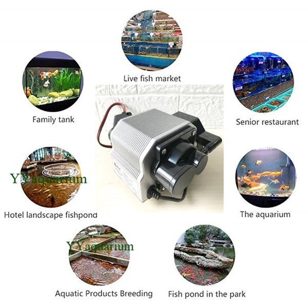 16W 1620LPH 6 Outlets Portable Air Compressor Big Flow Commercial DC Pumps Aerator For Aquarium Ponds Aquaculture and Hydroponic Systems, DC12V 24V